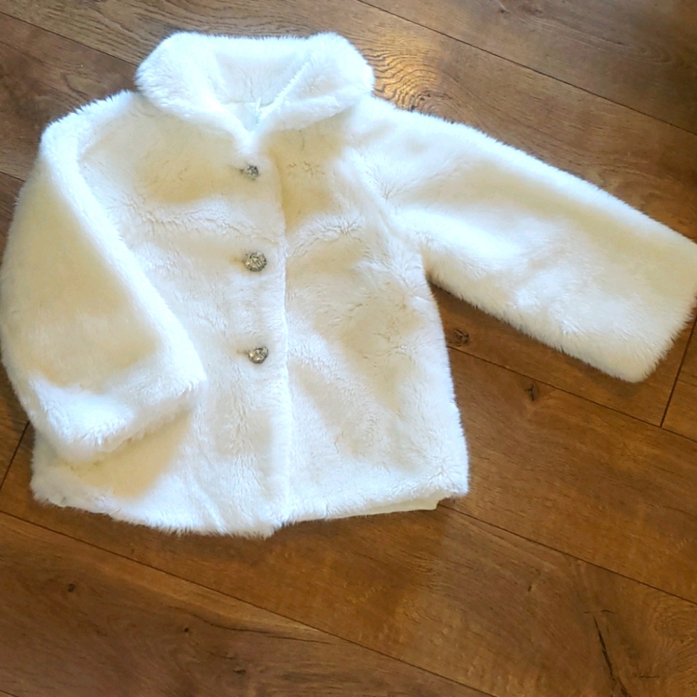 Dress Faux Fur Jacket